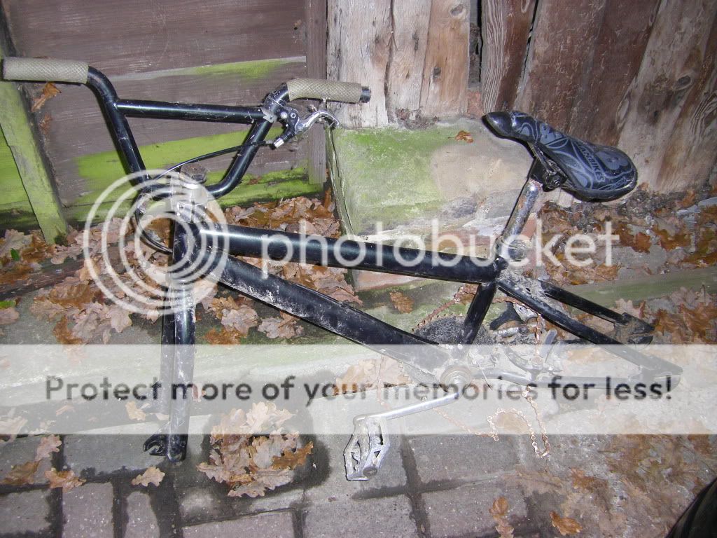 STH71218.jpg