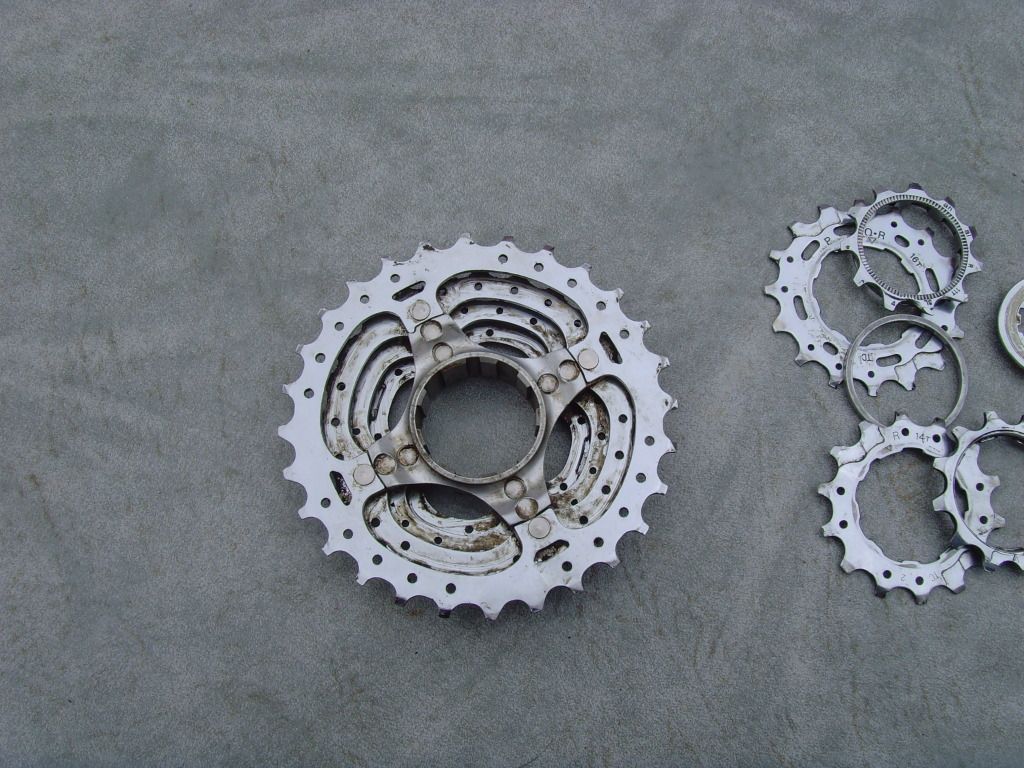 SNV36724.jpg