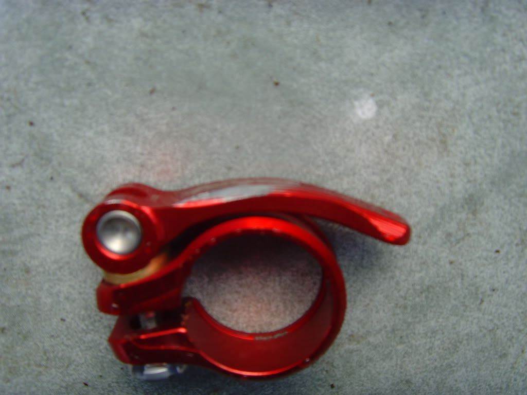 SNV36309.jpg