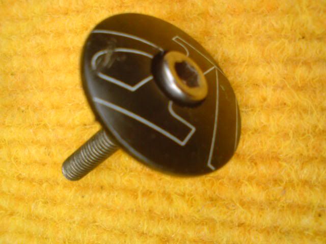 DSC01389.jpg