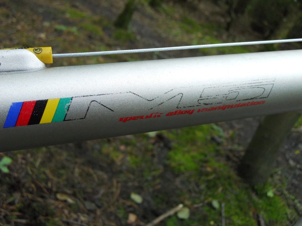 DSCN0406.jpg
