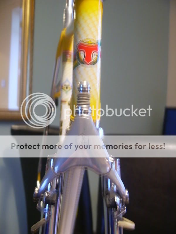 TommoRebuild029.jpg