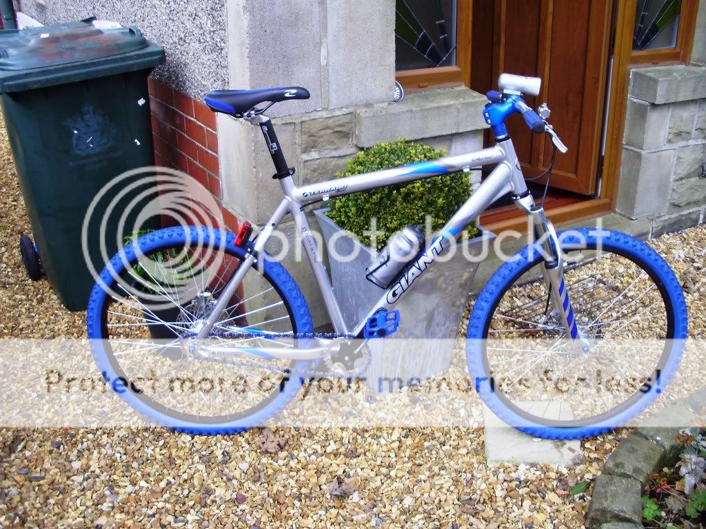 ebaybikes059-1.jpg