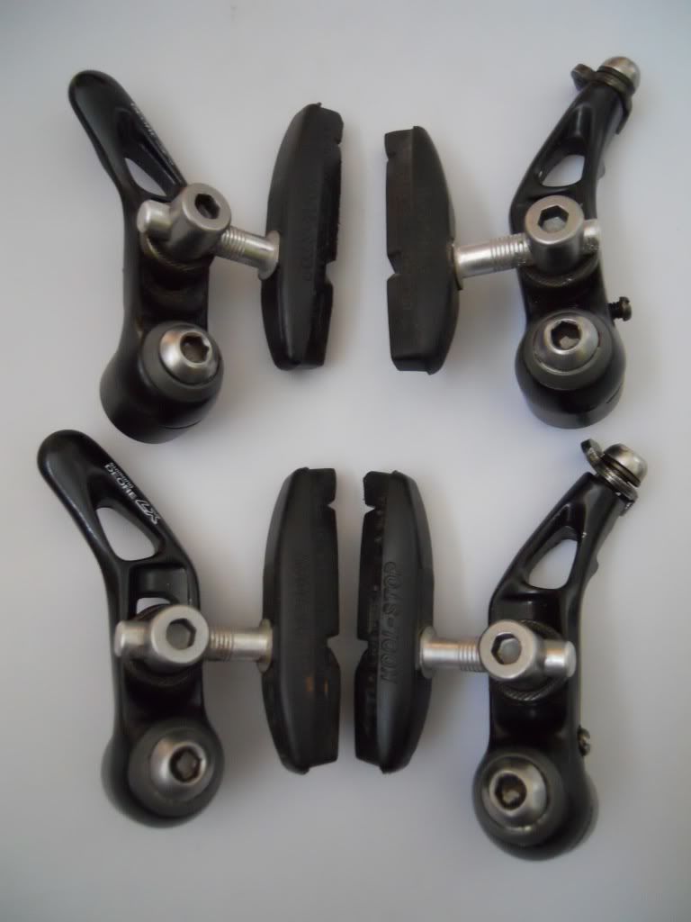 DSCN1517.jpg