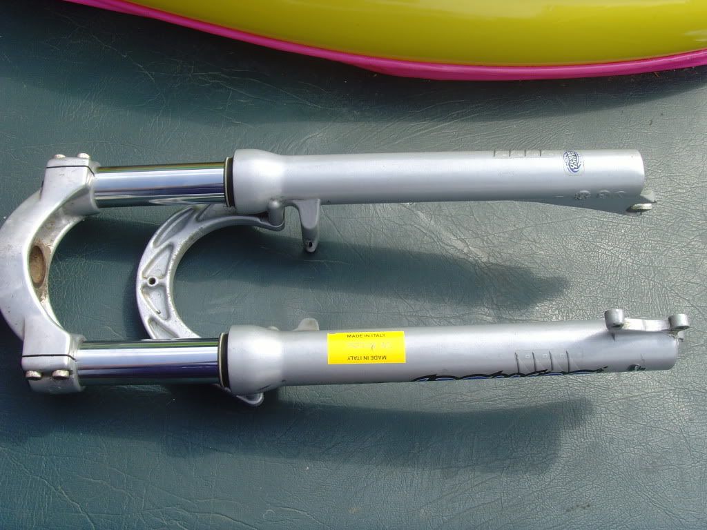 SNV34429.jpg