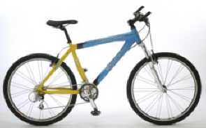 fiets_team_spirit_vtt_v10.jpg