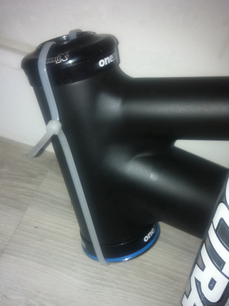 c6830113.jpg