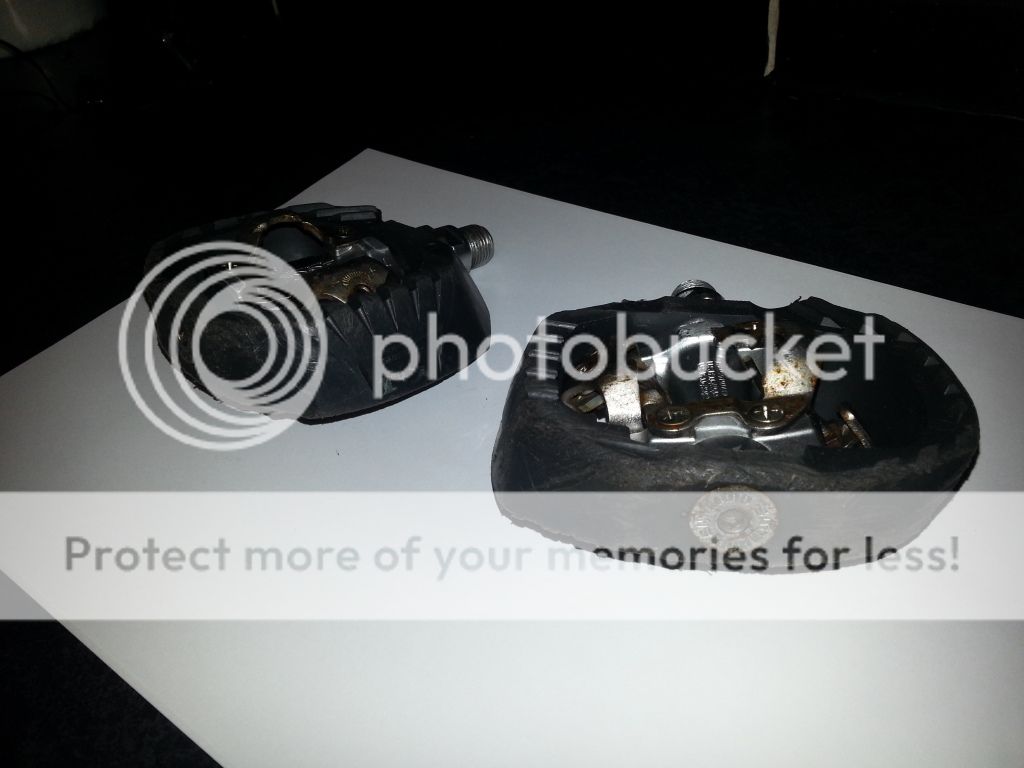 2013-01-30183052.jpg