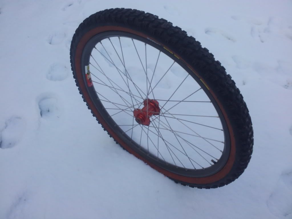 20120211_114955.jpg