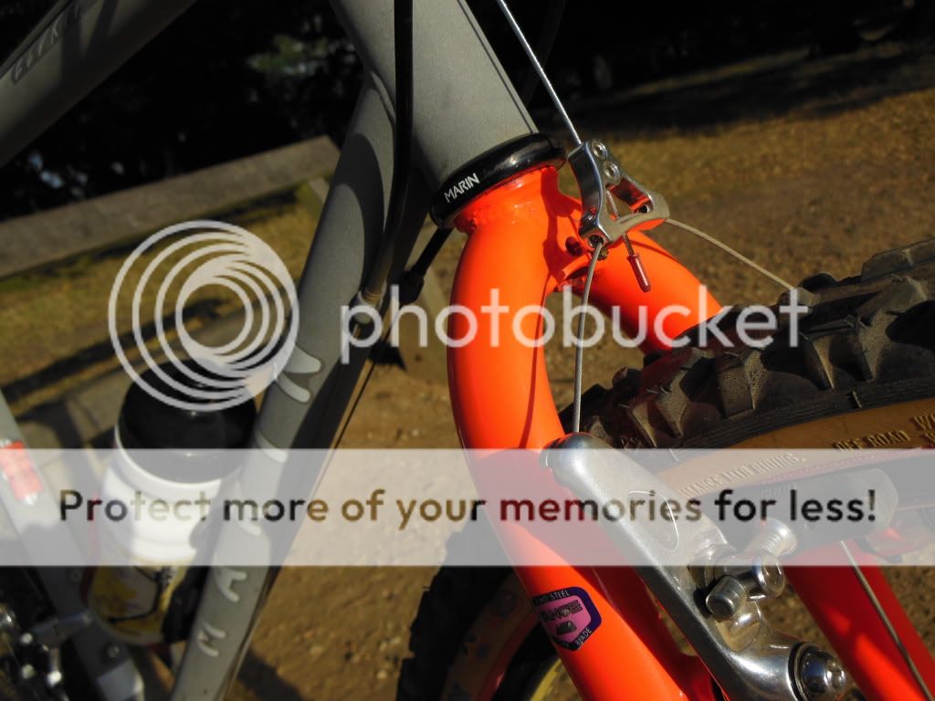 DSCN2496.jpg