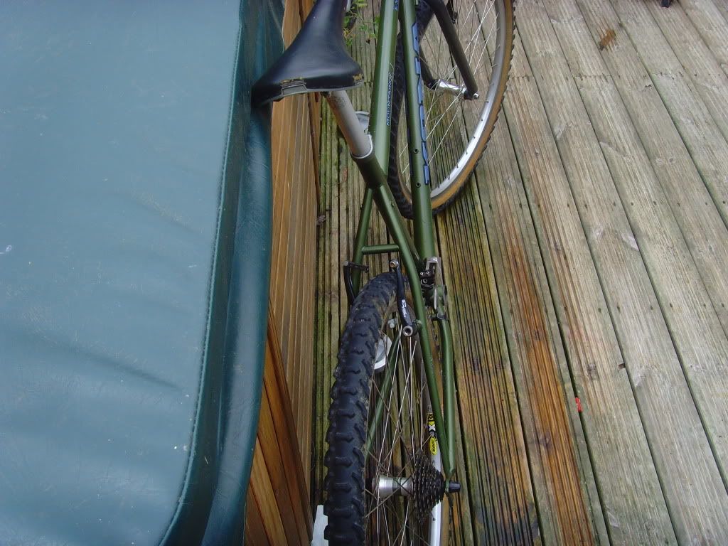 SNV34485.jpg