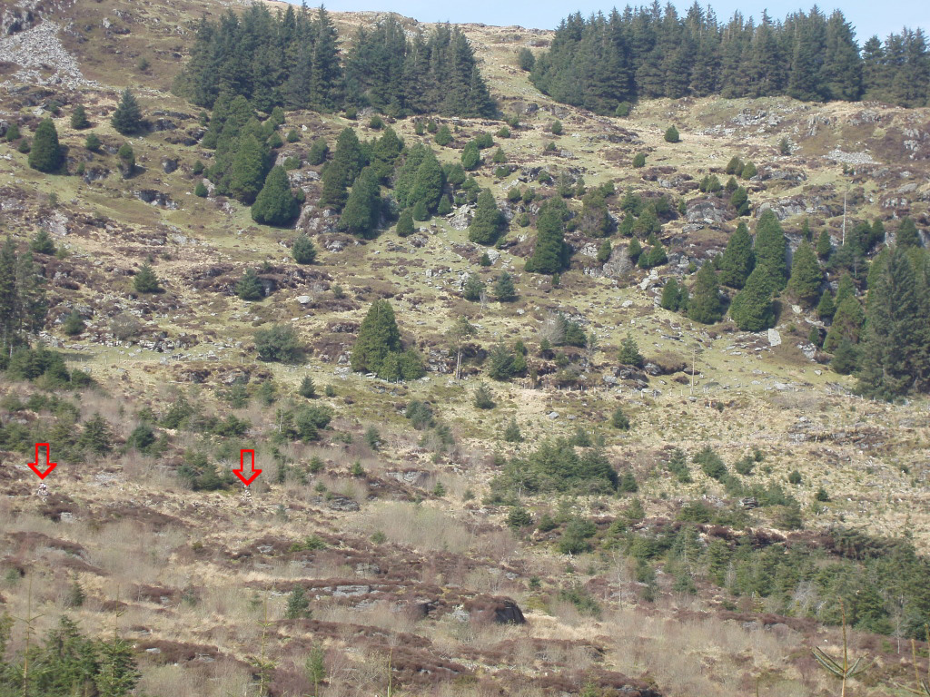 P4090864_edit.jpg