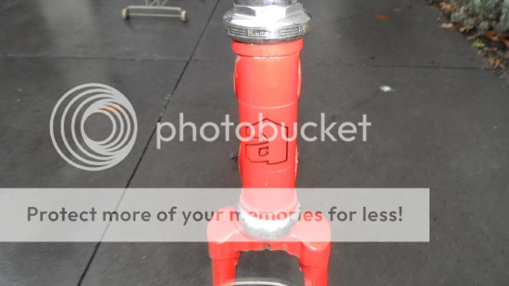 SAM_2033_zps03f6dc8d.jpg