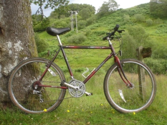raleigh%20mustang.JPG
