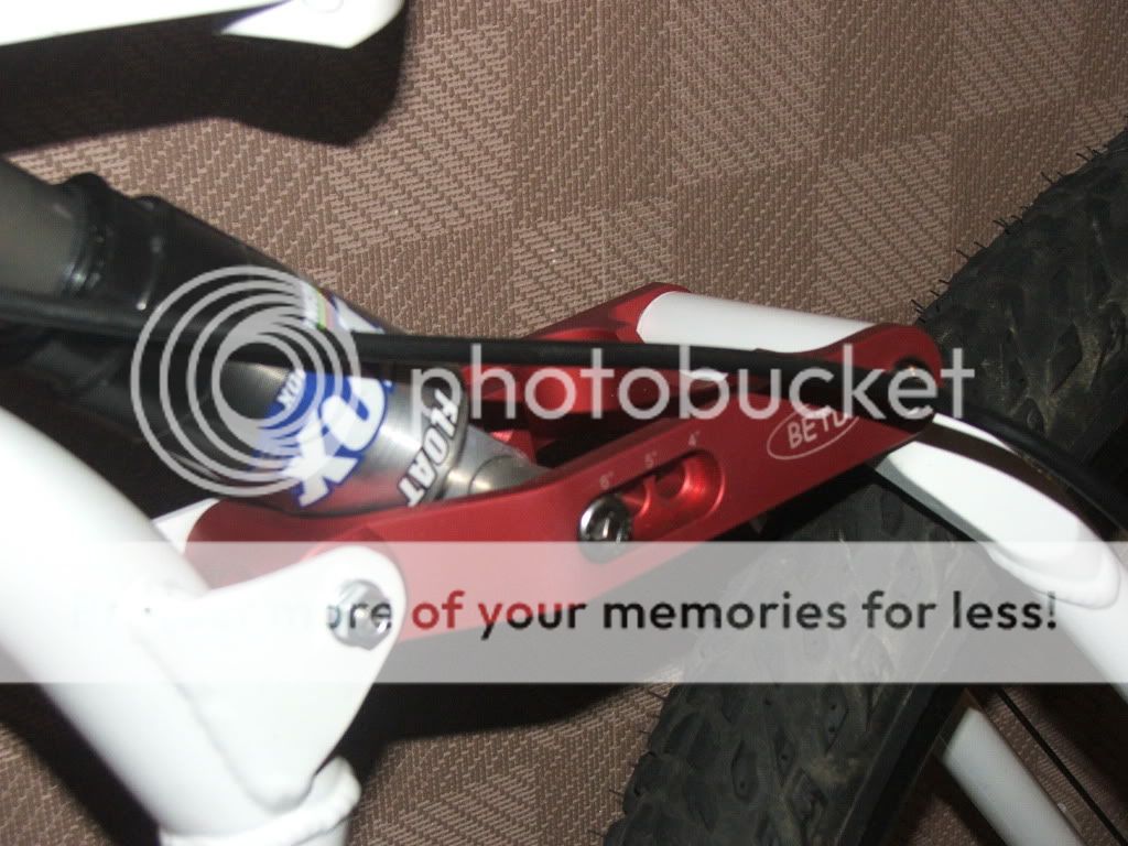DSCF9100.jpg