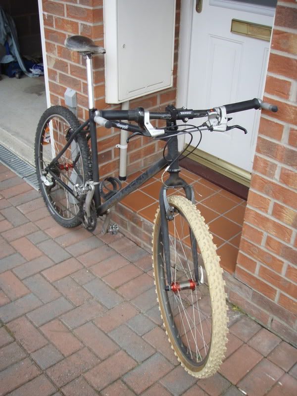 thornMTB02.jpg