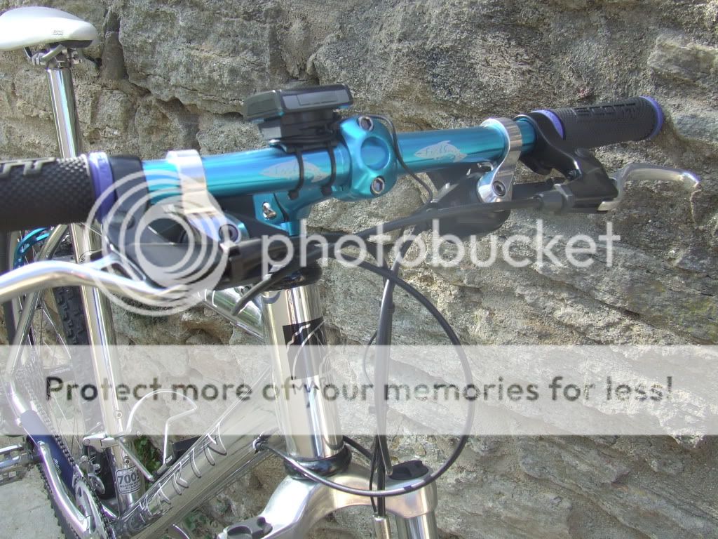 DSCF7288.jpg