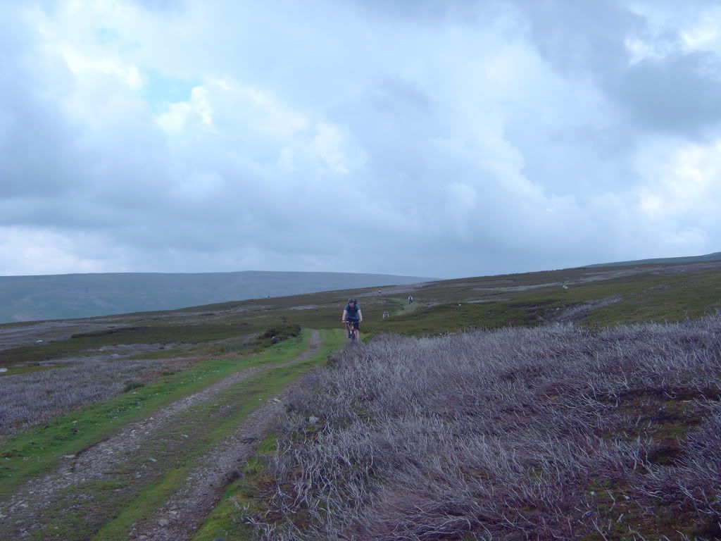IMG00358.jpg