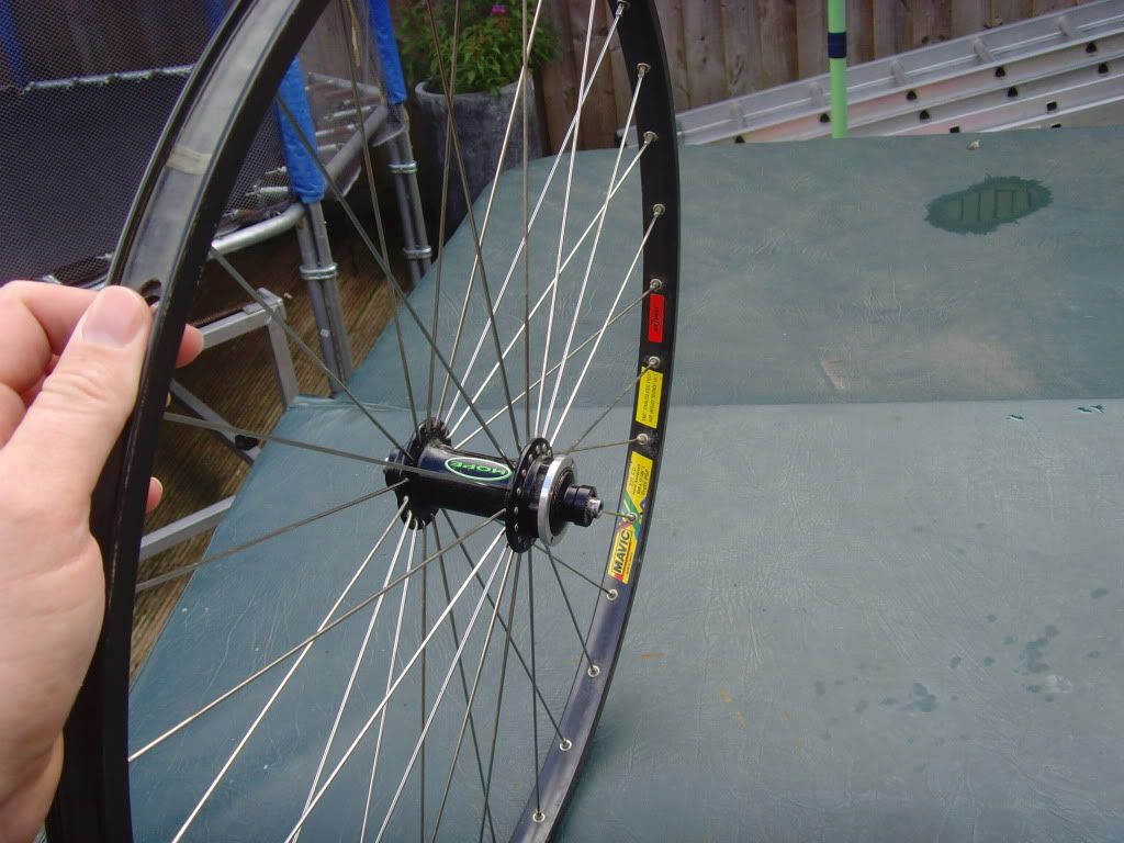 SNV34523.jpg