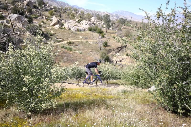 rumpfy_preride.jpg