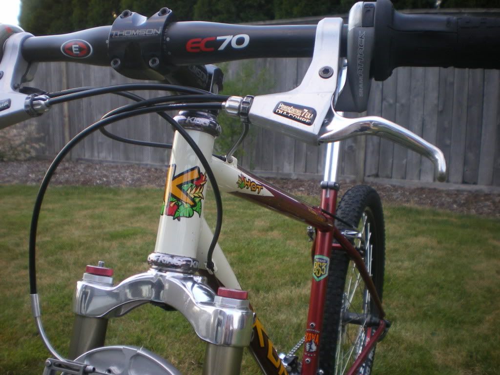 IMGP2936.jpg