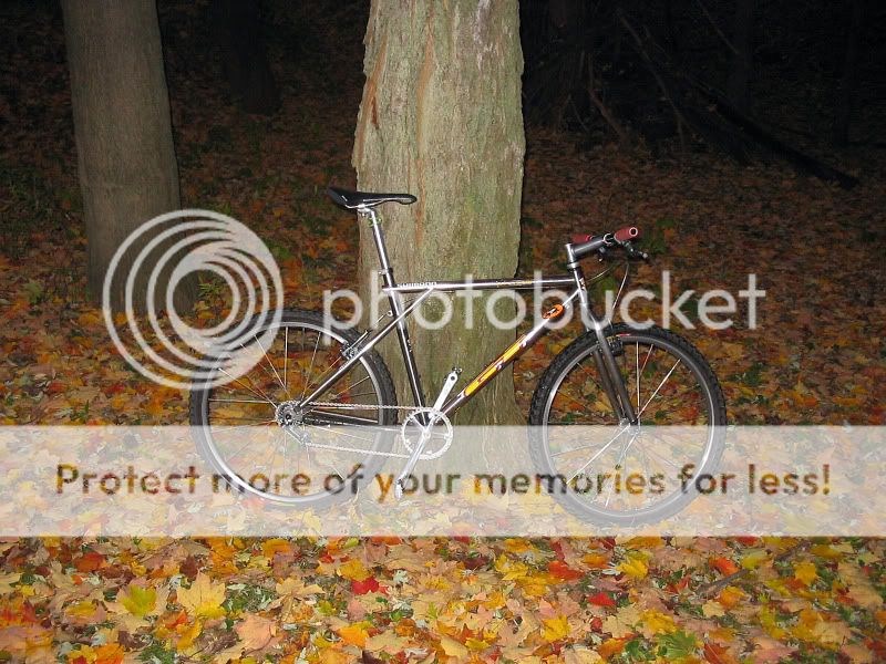 fallcolours1.jpg