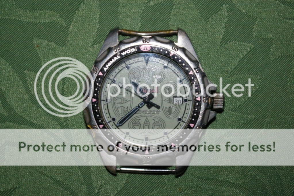 IMGP1838.jpg