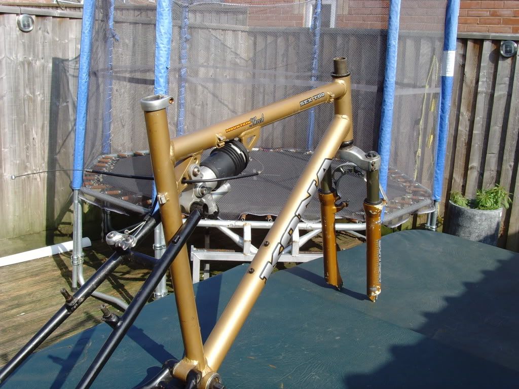 SNV35106.jpg