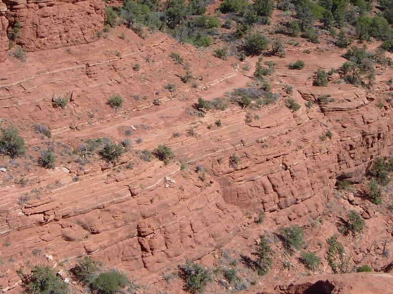 DSC03294.jpg
