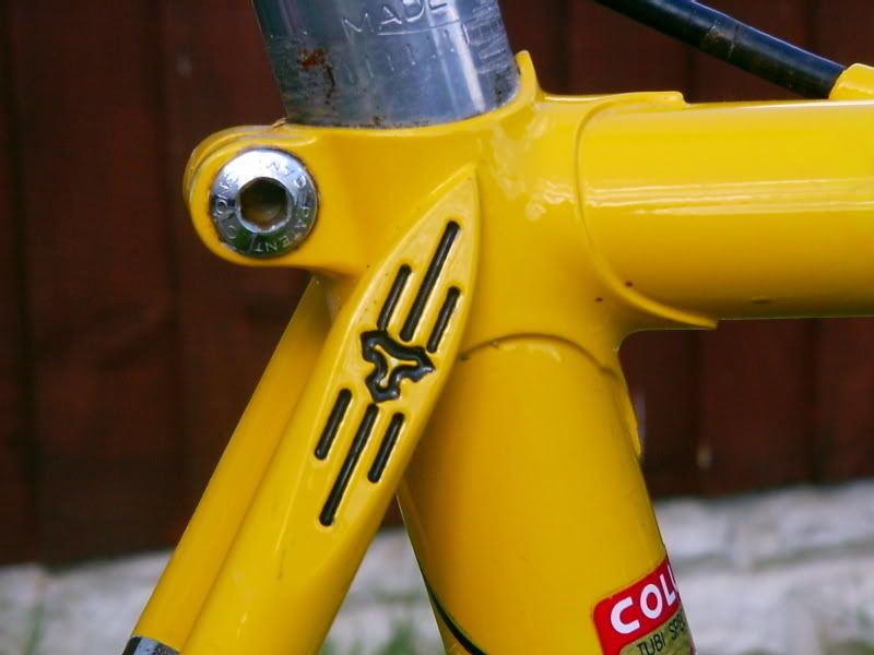 Tommasini003.jpg