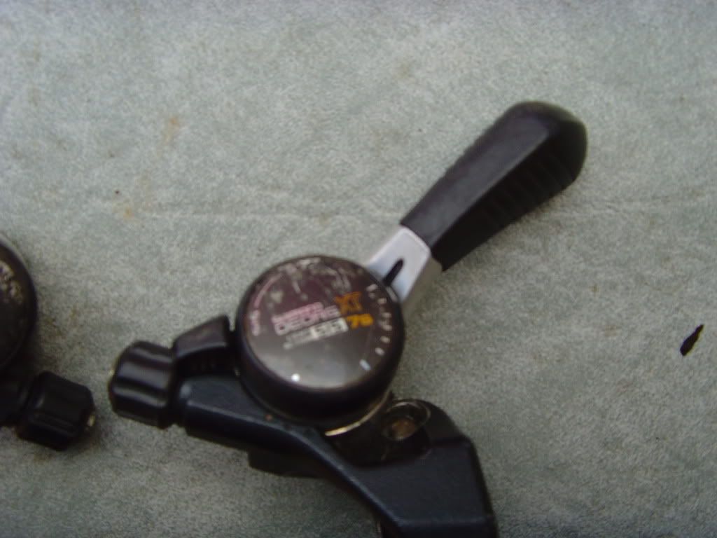 SNV36400.jpg