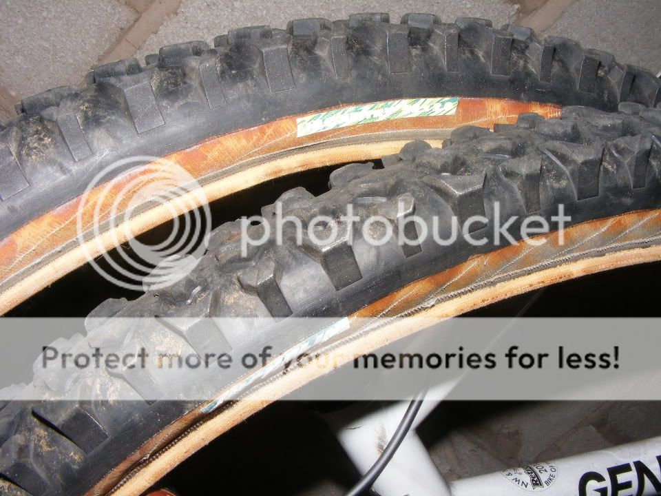 2011_1227fs0021.jpg