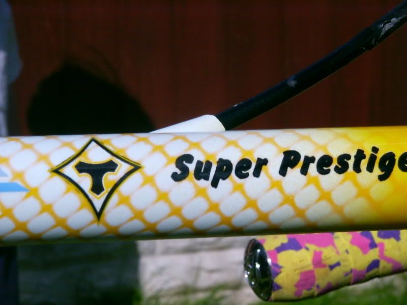 Tommasini012.jpg