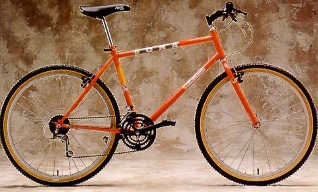 hybrid mountain bike for women