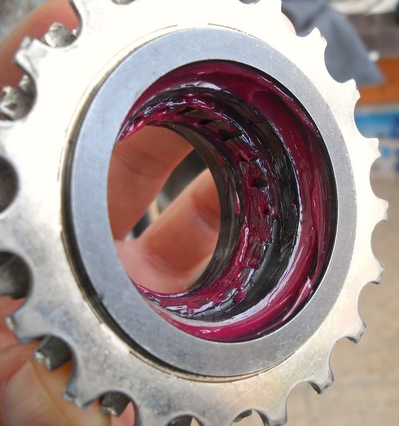 Freewheel06.jpg