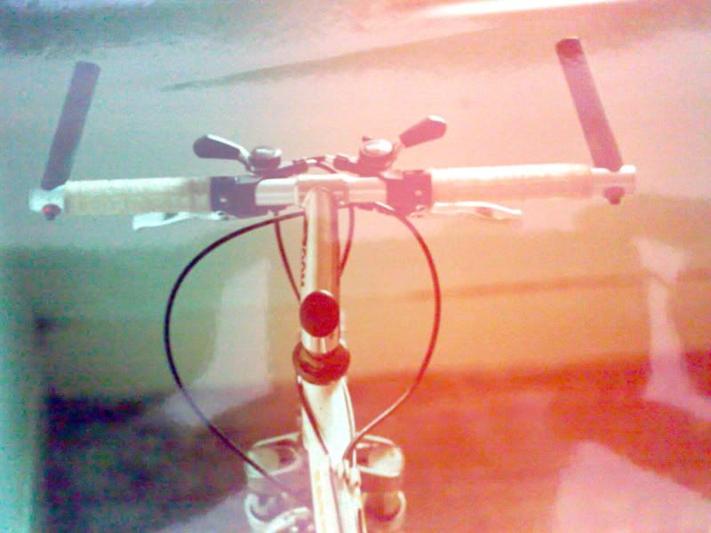 roberts-white-spider-1994Sbars.jpg