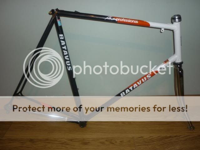 carreraandstuff017.jpg