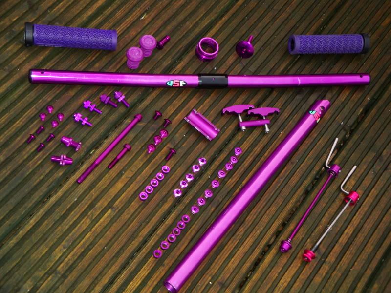violet001.jpg