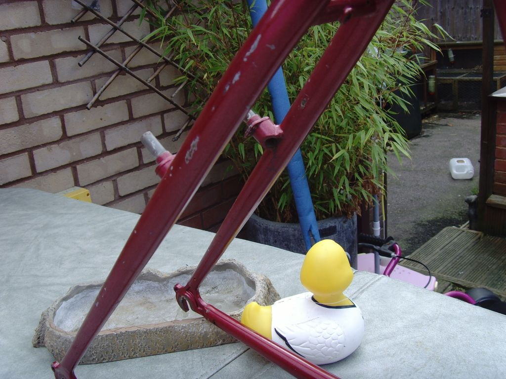 SNV36767.jpg