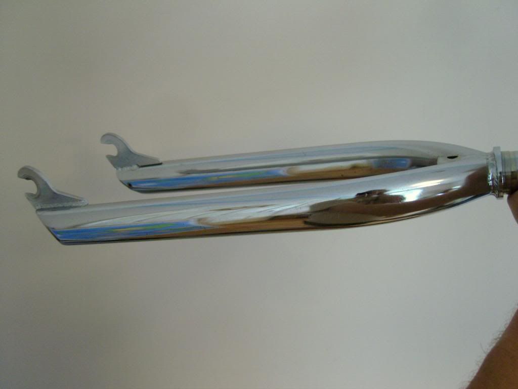 SNC10117.jpg