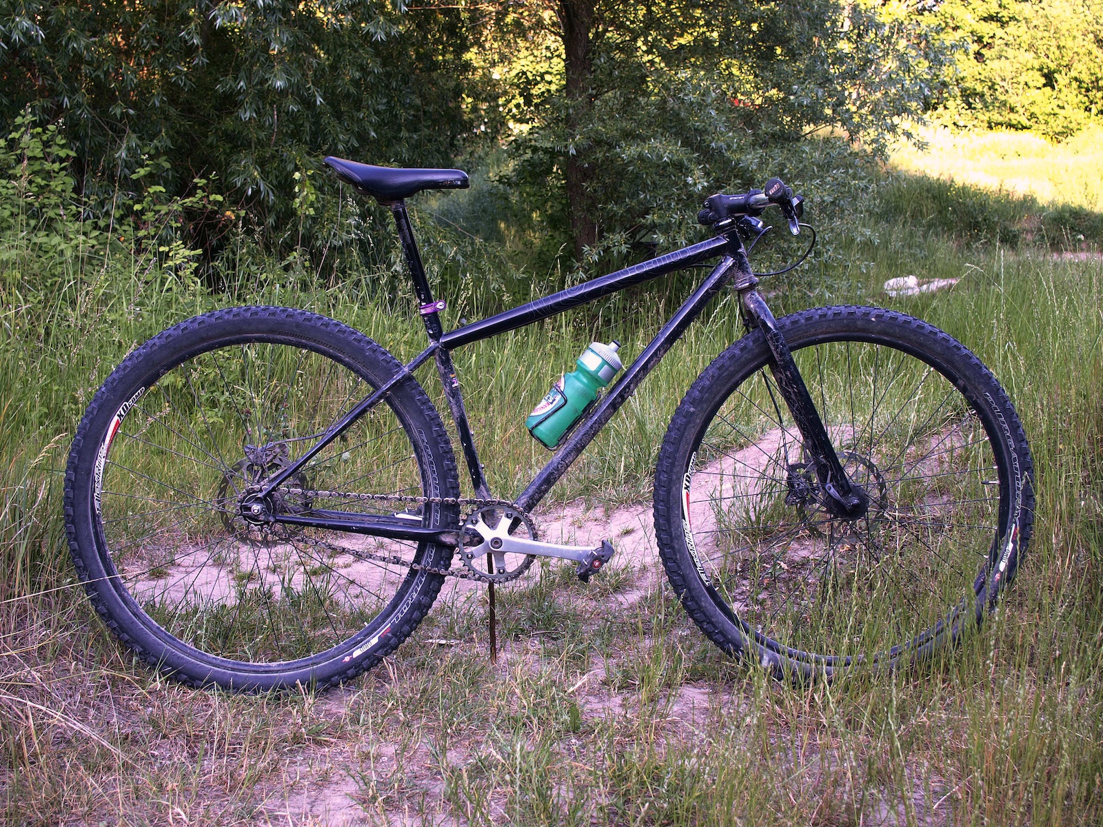genesis single speed mountain bike