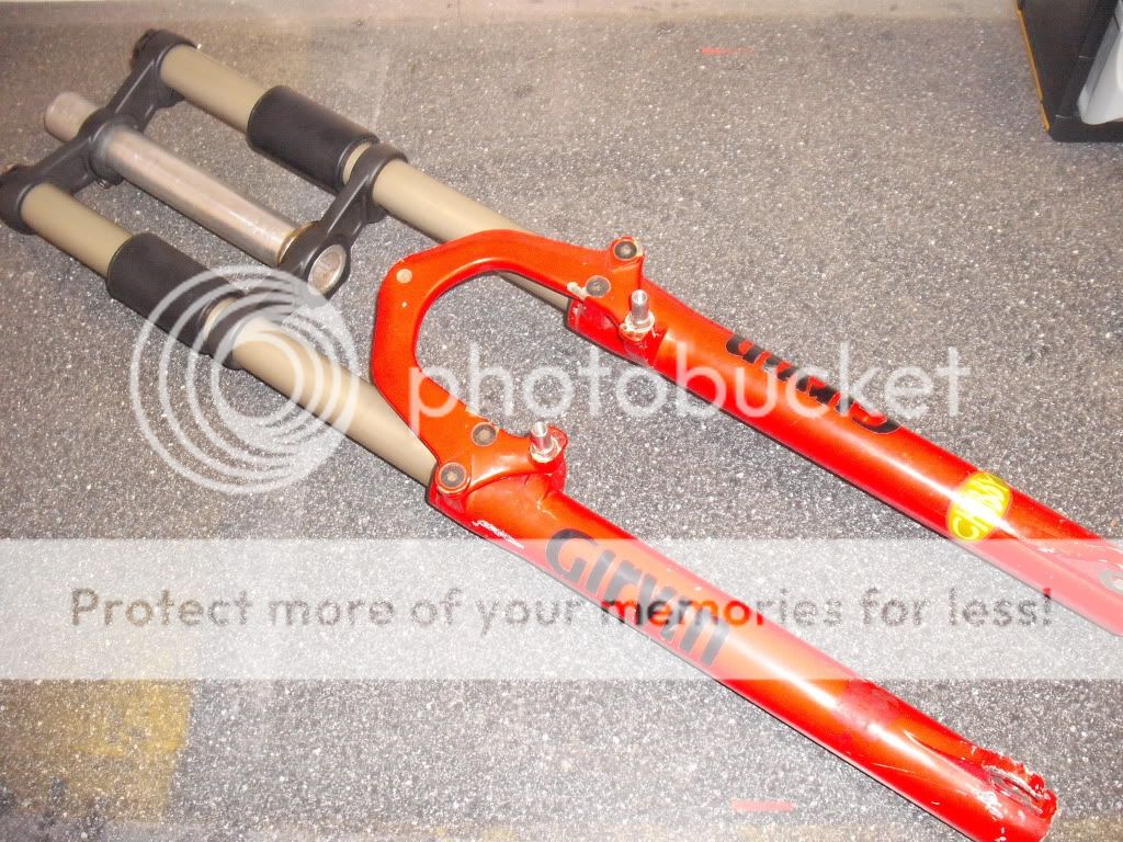 DSCF5036.jpg