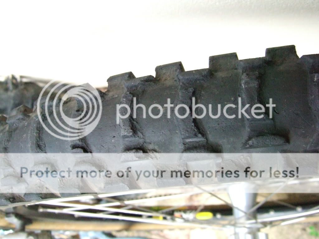 DSCF2431.jpg