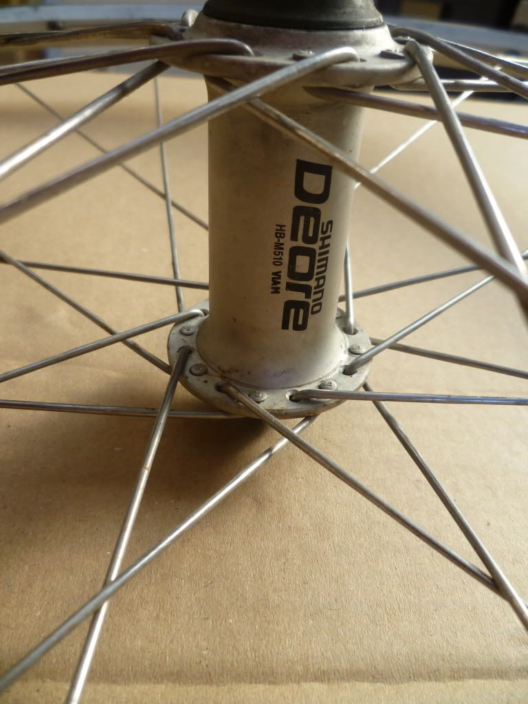 P1000250.jpg