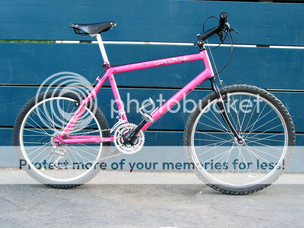 1987SM800.jpg