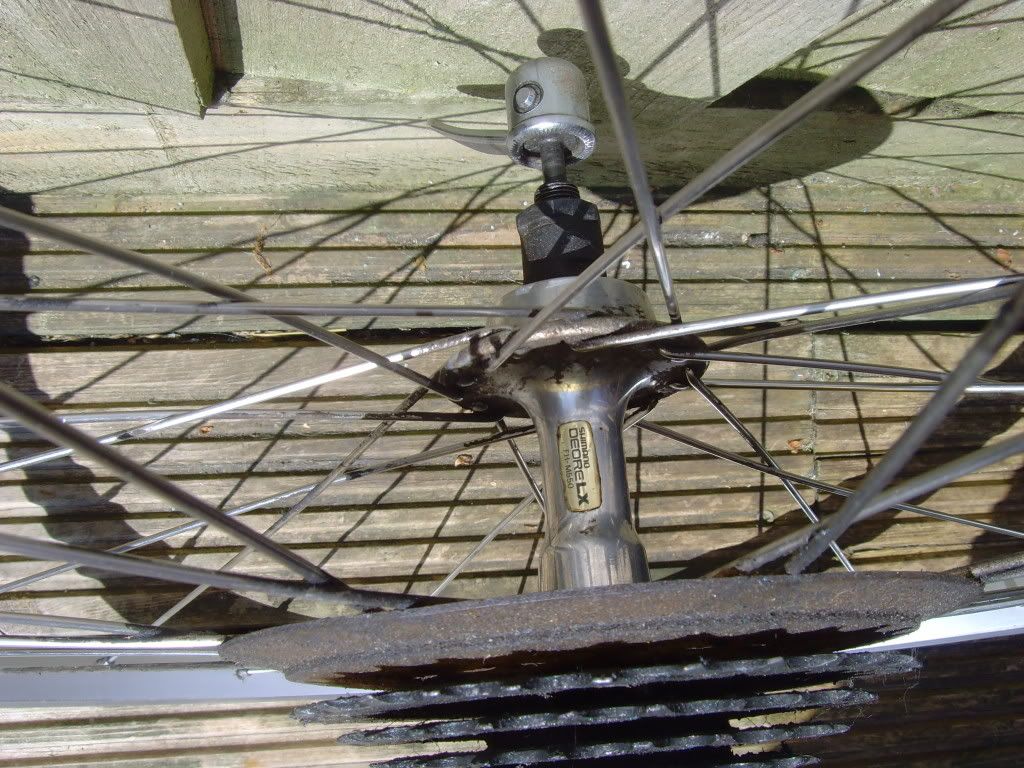 SNV34161.jpg