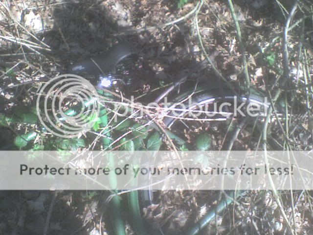 DSC00004.jpg