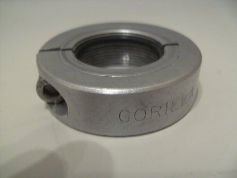 gorilla_1381.jpg