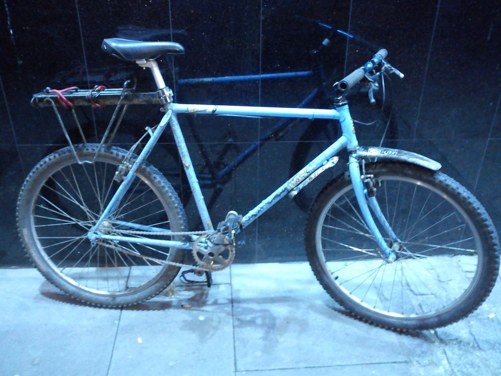 DSC00527.jpg