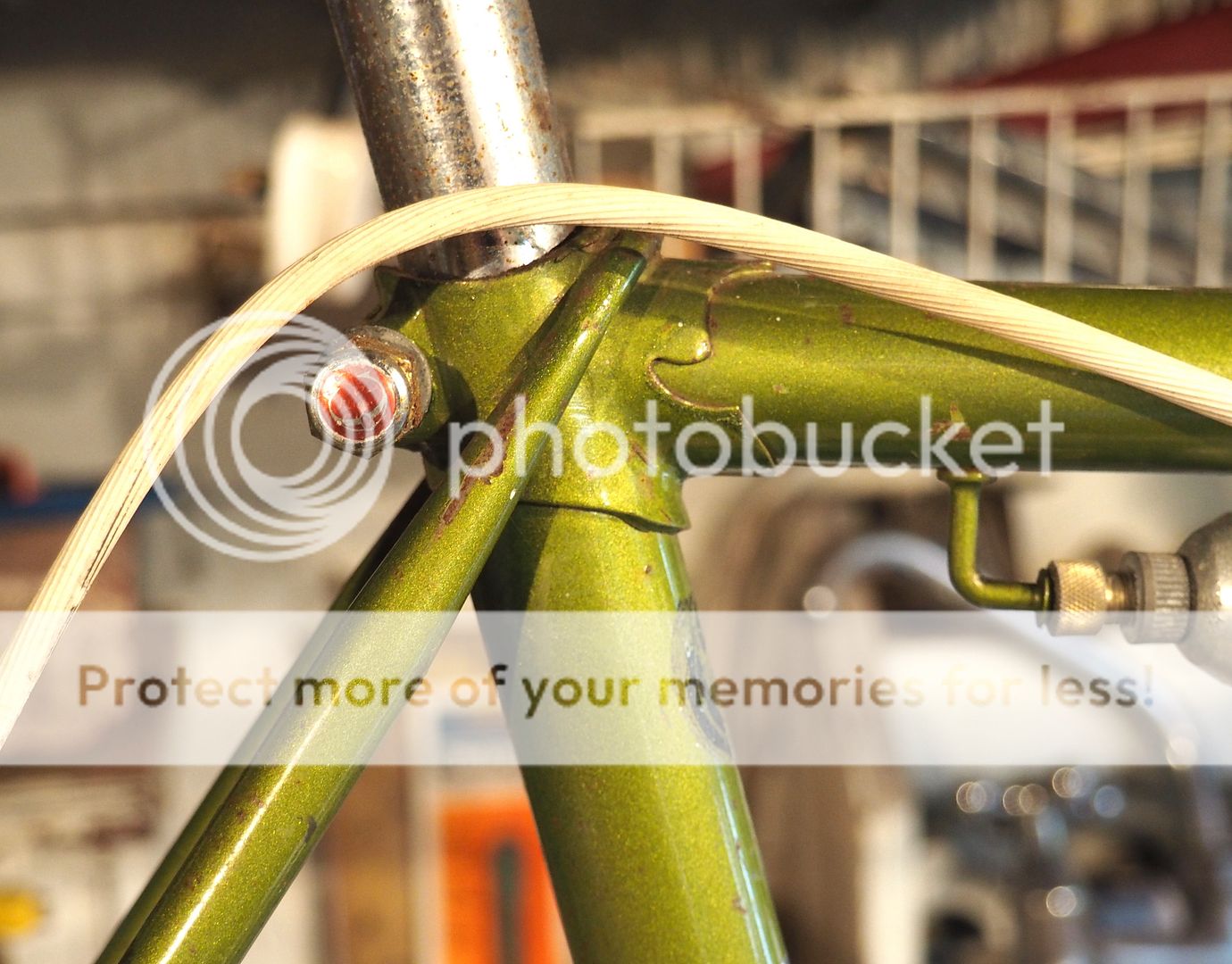 P3281259_zpsdo1fkpdx.jpg